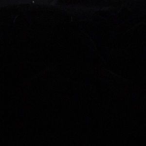 Meet your Posher, Dwight